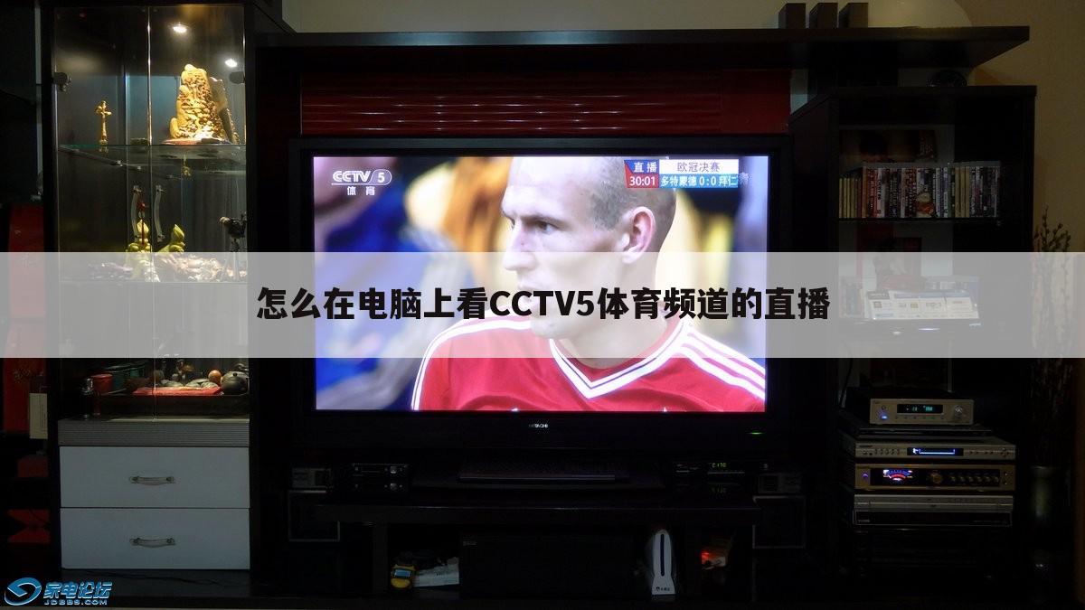 怎么在电脑上看CCTV5体育频道的直播