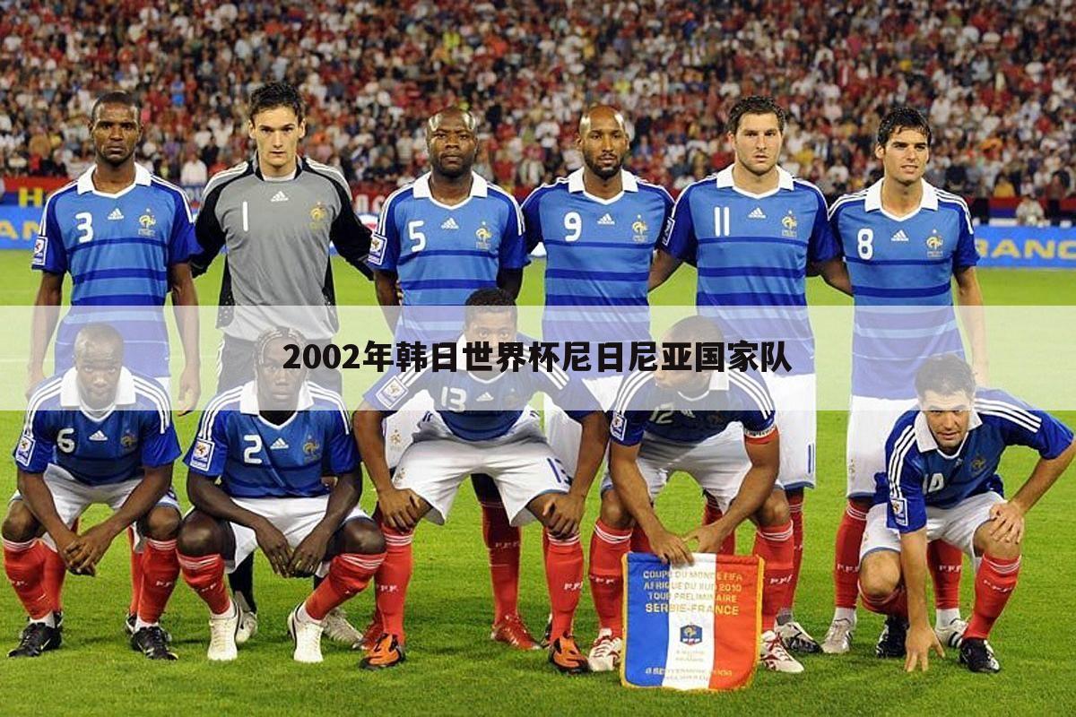 2002年韩日世界杯尼日尼亚国家队