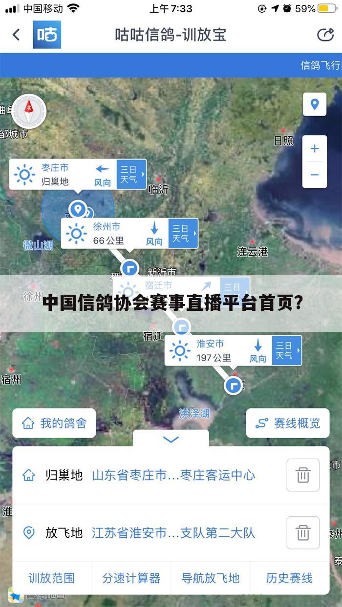 中国信鸽协会赛事直播平台首页？