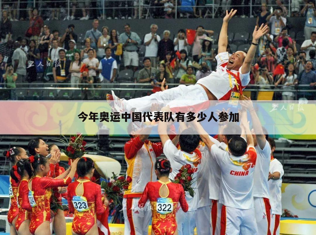 今年奥运中国代表队有多少人参加